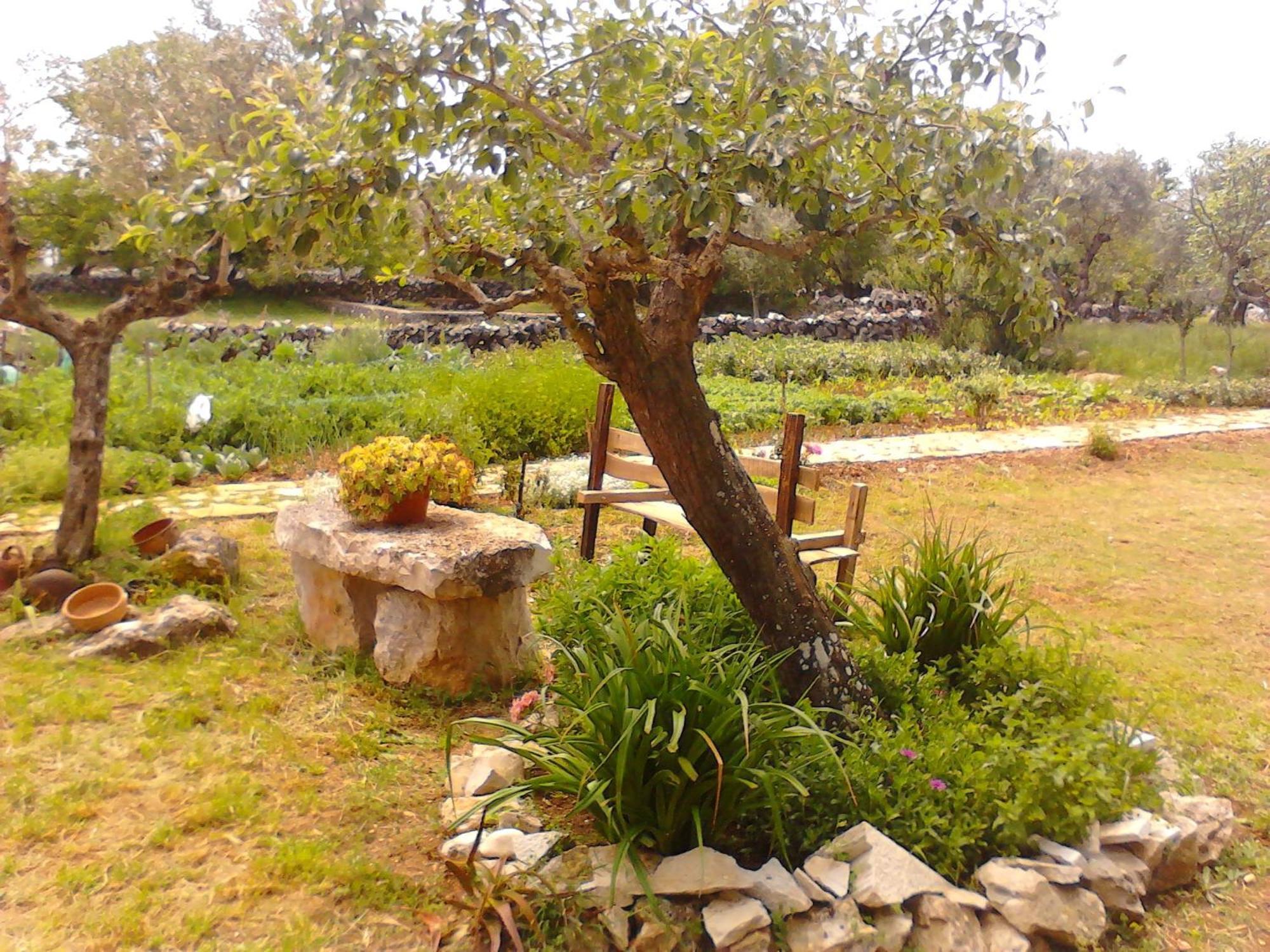 Retiro Da Avo Lidia - Turismo Rural Mendiga Buitenkant foto
